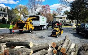 Best Tree and Shrub Care  in Stock Island, FL